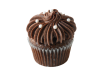 Fancy Chocolate Cupcake