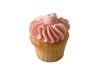 Fancy Mini Strawberry Cupcake