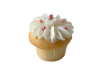 Fancy Mini Vanilla Cupcake
